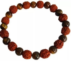 5 Mukhi Rudraksha and Tiger Eye Bracelet