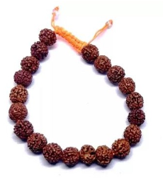 5 Mukhi Rudraksha Band