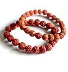 5 Mukhi Rudraksha Bracelet