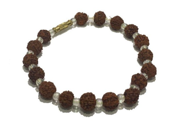 5 mukhi Rudraksha Bracelet with Transparent Beads