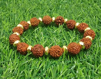 5 Mukhi Rudraksha Stretchable Bracelet