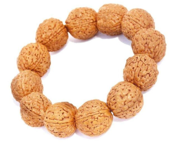 7 Mukhi Rudraksha Bracelet