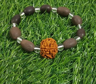 Kamal Gatta and Crystal With 1 Mukhi Rudraksha Stretchable Bracelet