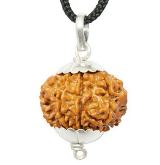 8 Mukhi Nepali Rudraksha Pendant