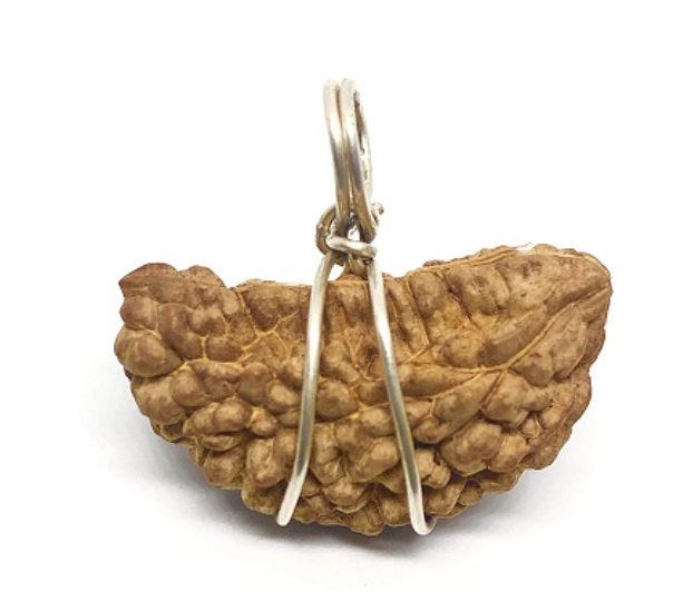 1 Mukhi Rudraksha Pendant