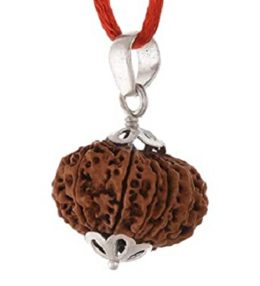 13 Mukhi Nepali Rudraksha Pendant