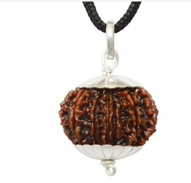 13 Mukhi Nepali Rudraksha Pendant