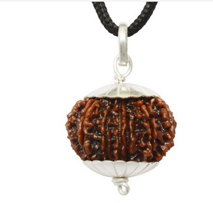 13 Mukhi Nepali Rudraksha Pendant