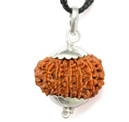 14 Mukhi Rudraksha Pendant