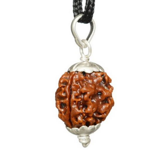 3 Mukhi Rudraksha Pendant