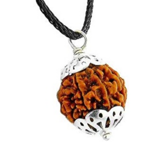 5 Mukhi Nepali Rudraksha Pendant