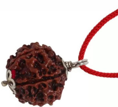 5 Mukhi Nepali Rudraksha Pendant