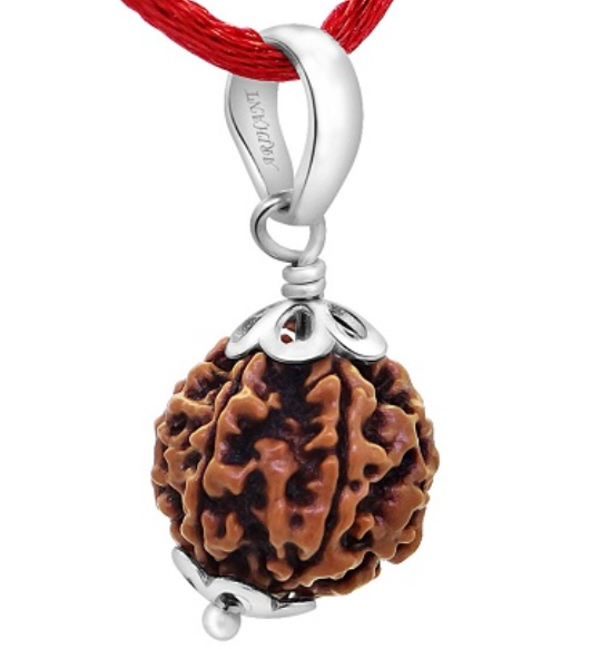 6 Mukhi Nepali Rudraksha Pendant