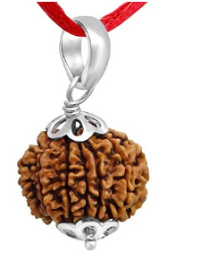 9 Mukhi Nepali Rudraksha Pendant