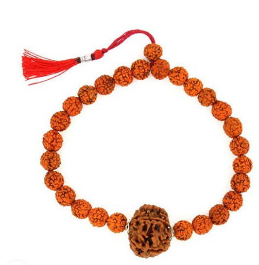 8 Mukhi Beads & 5 Mukhi Rudraksha Bracelet